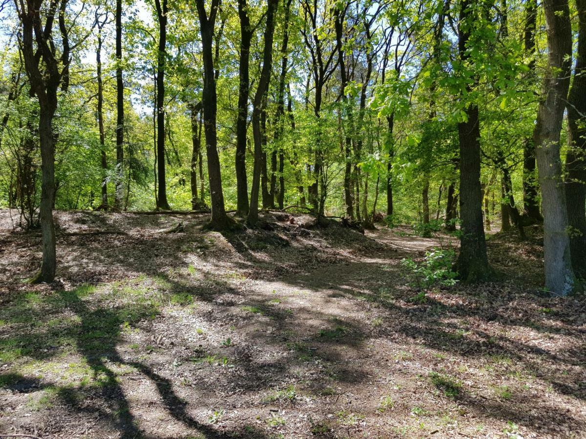Knusse 5 Persoons Bungalow Hartje Veluwe أوتيرلو المظهر الخارجي الصورة