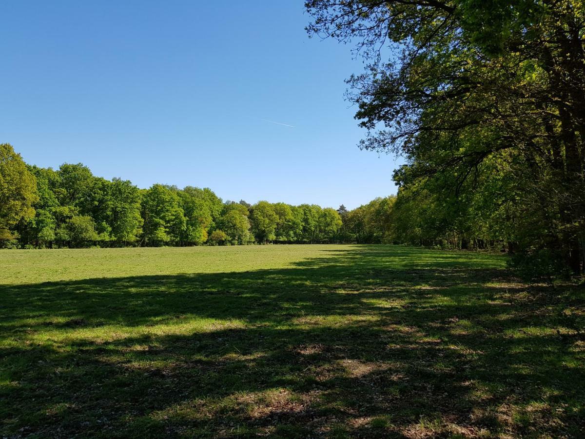 Knusse 5 Persoons Bungalow Hartje Veluwe أوتيرلو المظهر الخارجي الصورة